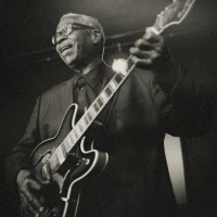 the guitarist! - concert stock pictures, royalty-free photos & images