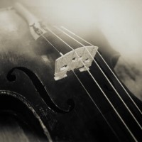 the old violin - concert stock pictures, royalty-free photos & images