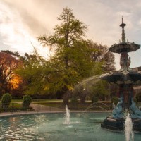 the peacock fountain during the sunset in christchurch botanic gardens, new zealand. - garden decoration stock pictures, royalty-free photos & images