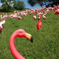 there goes the neighborhood - again! - garden decoration stock pictures, royalty-free photos & images