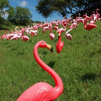 there goes the neighborhood - garden decoration stock pictures, royalty-free photos & images