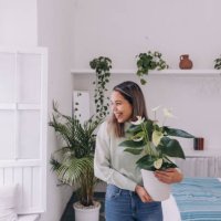 three quarter length of a woman smiling with a plant - home decoration stock pictures, royalty-free photos & images