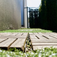 tiles on a grass floor outside a building, next to it is a wall with foliage, in the background is the blue sky. - garden decoration stock pictures, royalty-free photos & images