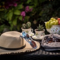 today was a scorcher. 213/. - garden decoration stock pictures, royalty-free photos & images