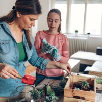 together making terrarium at home - garden decoration stock pictures, royalty-free photos & images