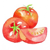 tomatoes and tomato wedge - food stock illustrations