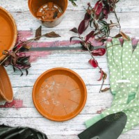 top view aragment of gardener stuff in rustic wooden table.apron, plants, scissors - garden decoration stock pictures, royalty-free photos & images