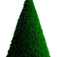 topiary christmas tree - garden decoration stock illustrations