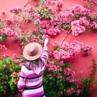 tourist admiring bougainvillea flowers climbing on red wall, san miguel de allende, mexico - garden decoration stock pictures, royalty-free photos & images
