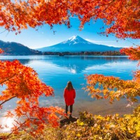 tourist admiring mt. fuji in autumn, japan - travel stock pictures, royalty-free photos & images