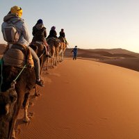 tourists on train of camels in sahara led by guide - travel stock pictures, royalty-free photos & images
