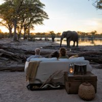 tourists sitting at sundown watching an elephant drinking at the waterhole in front of a safari lodge - travel stock pictures, royalty-free photos & images