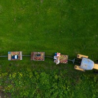 tractor with trailers full of apples from above - food stock pictures, royalty-free photos & images