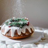 traditional christmas lemon bundt cake decorated with spruce branch and cranberrys. - food stock pictures, royalty-free photos & images