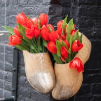 traditional clogs and tulips outside restaurant in amsterdam - garden decoration stock pictures, royalty-free photos & images