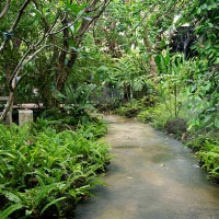 tranquil path way through a lush tropical garden - garden decoration stock pictures, royalty-free photos & images