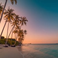 tranquil summer vacation or holiday landscape. tropical island sunset beach. palm trees over calm sea water, sun rays, colorful sky. exotic nature view, inspirational and peaceful seascape reflection - travel stock pictures, 