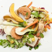 trash - food stock pictures, royalty-free photos & images