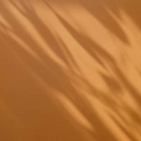 trees or plant branch and leaf with shadow on orange paper background. place for text, copy space, top view - garden decoration stock pictures, royalty-free photos & images