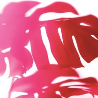 trendy shadow of tropical leaves of monstera philodendron in viva magenta color of the year 2023 on white background, isolated. - home decoration stock pictures, royalty-free photos & images