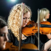 trio orchestra performing. - concert stockfoto's en -beelden