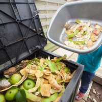 trip to compost bin - food stock pictures, royalty-free photos & images