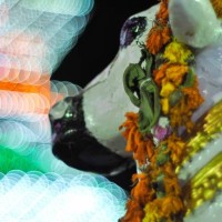 trissur temple cow - garden decoration stock pictures, royalty-free photos & images