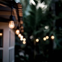 tropical garden - garden decoration stock pictures, royalty-free photos & images