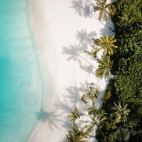 tropisch strand van de eilandpalmboom van hierboven - travel stockfoto's en -beelden