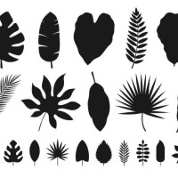 tropische blätter set. vektor-illustration - garden decoration stock-grafiken, -clipart, -cartoons und -symbole