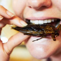 trying some traditional thai cuisine - food stock pictures, royalty-free photos & images