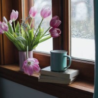 tulips on a window sill - home decoration stock pictures, royalty-free photos & images
