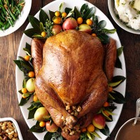 turkey, stuffing, and gravy dishes on wood surface - food stock pictures, royalty-free photos & images