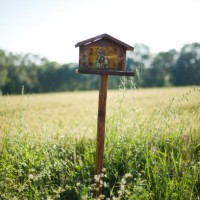 tuscan landscape - garden decoration stock pictures, royalty-free photos & images