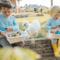two boys eating chocolate easter eggs - garden decoration stock pictures, royalty-free photos & images