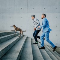 two businessmen running up on steps with dog - fashion stock pictures, royalty-free photos & images
