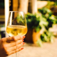 two glasses of white wine. - garden decoration photos et images de collection