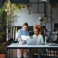 two happy beautiful blonde businesswomen working in the office using their computer - home decoration stockfoto's en -beelden