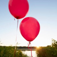 two pink balloons for party decoration at lake against sky - garden decoration stock pictures, royalty-free photos & images