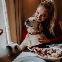 two young woman sit a dining table with a golden retriever perched between them - food stockfoto's en -beelden