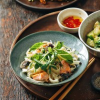 udon noodle with salmon - food stock pictures, royalty-free photos & images