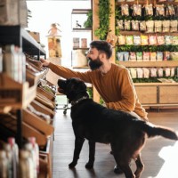 un jeune homme et son chiot à l’animalerie - food photos et images de collection