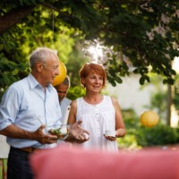 une fête des aînés en plein air - garden decoration photos et images de collection