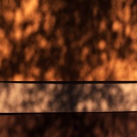 universal blurred defocus background with tree leaves shadow. natural background. - garden decoration stock pictures, royalty-free photos & images