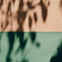 universal natural background with the shadow of a tree branch. - home decoration stock pictures, royalty-free photos & images