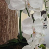 untitled - garden decoration stock pictures, royalty-free photos & images