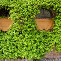 valgiano, lucca - tuscany, italy - garden decoration stock pictures, royalty-free photos & images