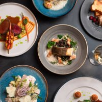variety of food dishes with meat, fish and steak served in michelin star gourmet restaurant seen from above - food stock pictures, royalty-free photos & images