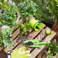 various flowering plants with gardening equipment on table - garden decoration stock pictures, royalty-free photos & images