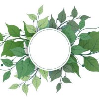 vector banners set with green leaves on white background. exotic botanical design for cosmetics, perfume, beauty salon, travel agency, florist shop. best as wedding invitation cards - garden decoration stock illustrations